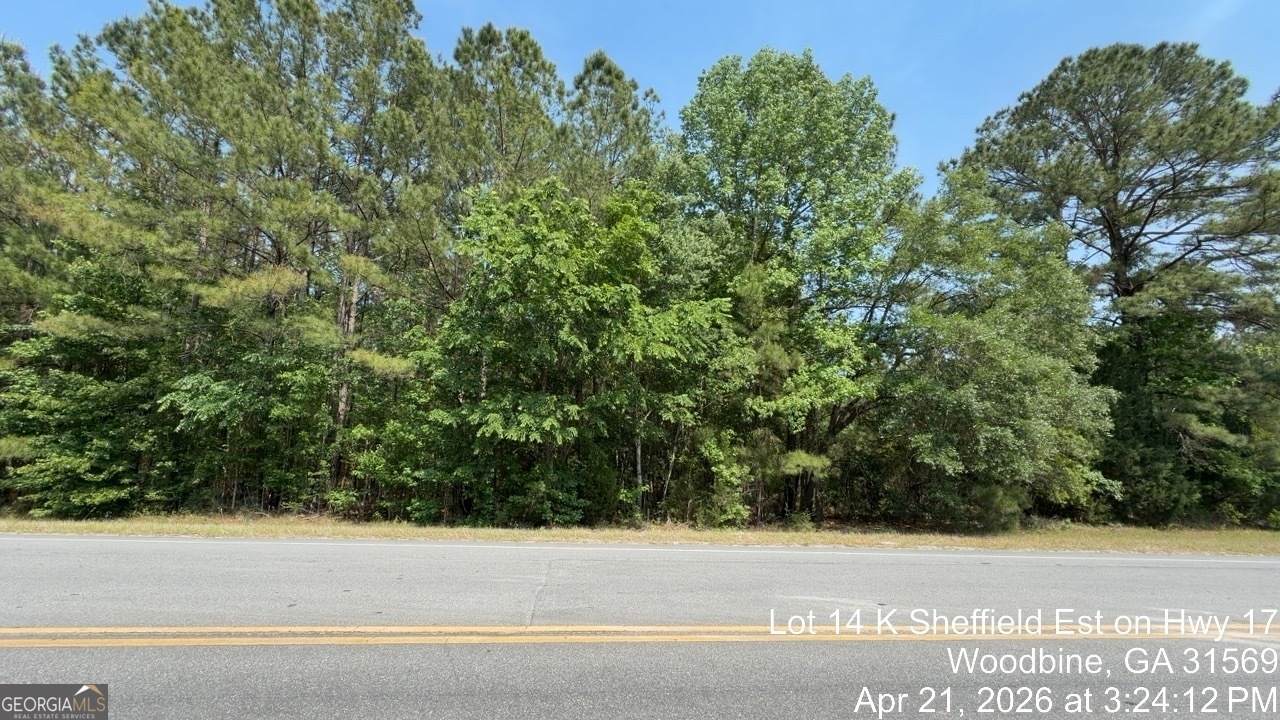 LOT 14 K Sheffield Est On Hwy 17 - Photo 1