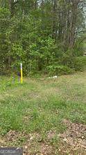 314 Highway 314 Highway 314 - Photo 3