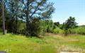 2574 Hwy 27 - Photo 3