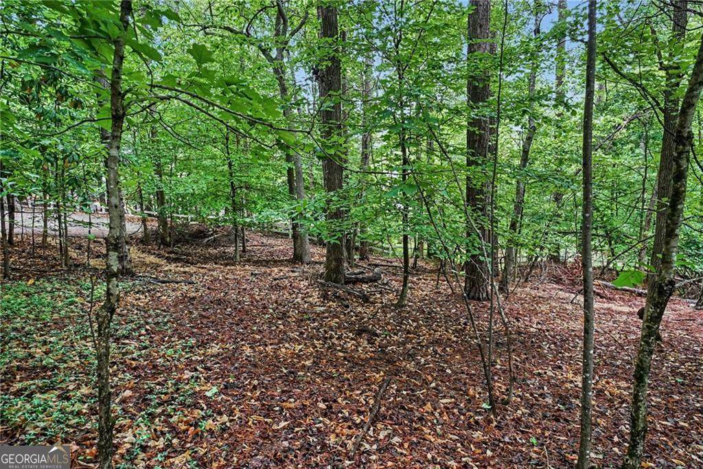 3836 Wesley Chapel Road - Photo 1