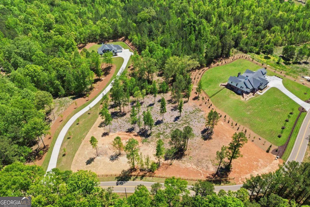 460 Mt. Olive Church Lane - Photo 1