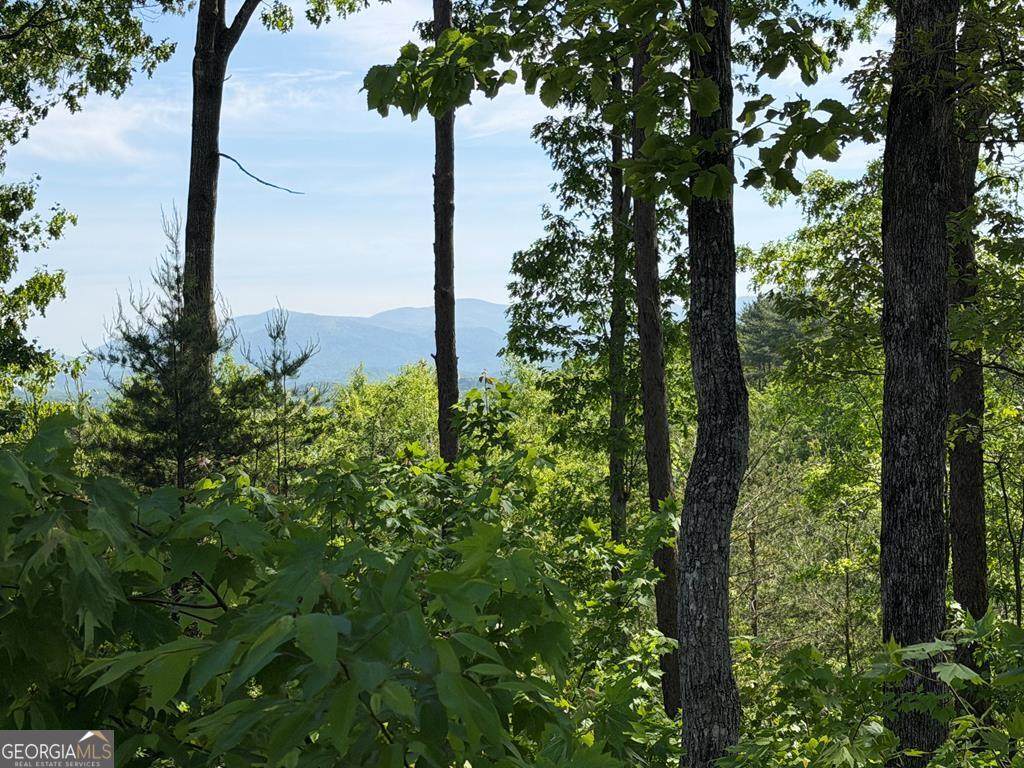 LOT 31 Summit View Lane - Photo 1
