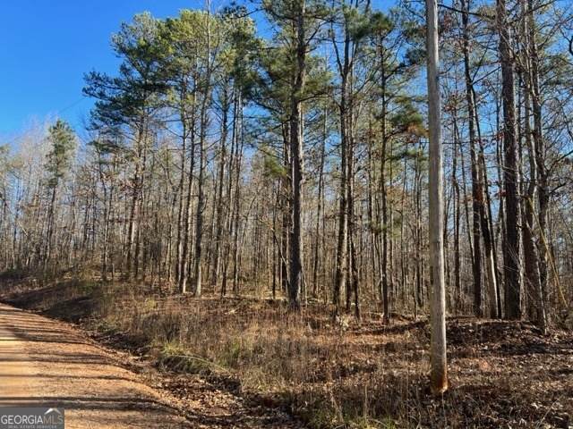 0 Creek Road - Photo 1
