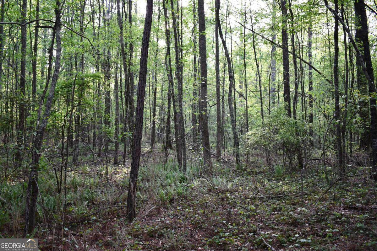 00004 Windridge Lane - Photo 1