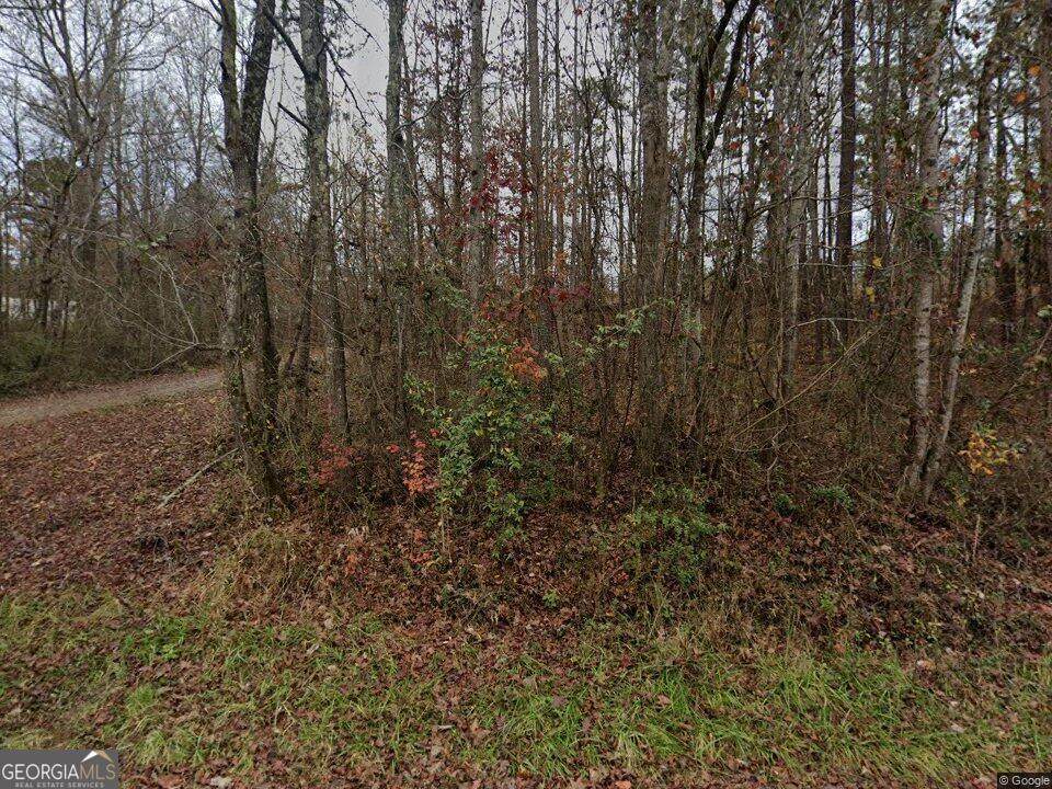 260 Woodruff Road - Photo 1
