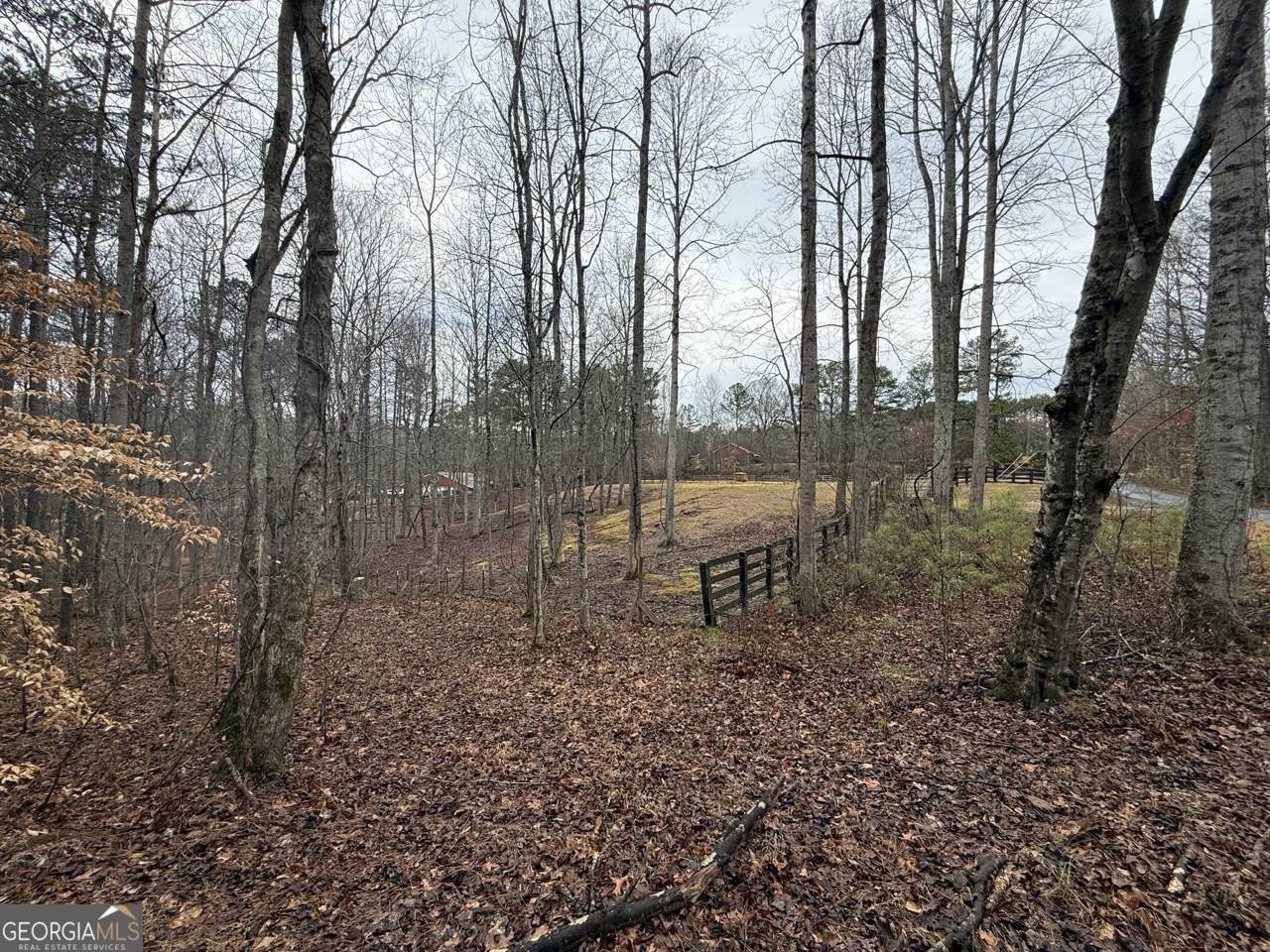 1666 Rock Springs Lane - Photo 1