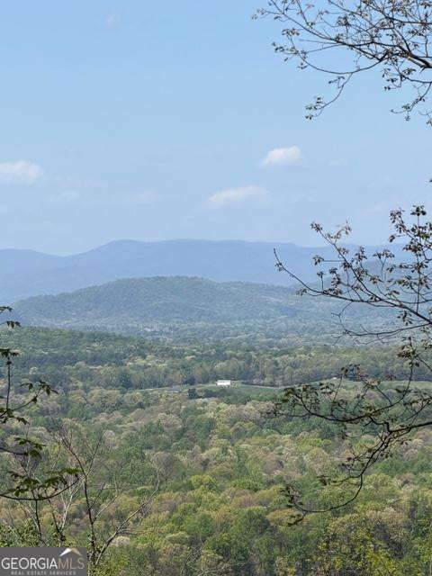 LOT 189 Hawks Nest Court - Photo 1