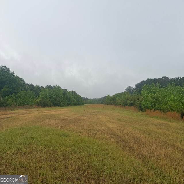 145 +/- ACRES George Smith Road - Photo 1