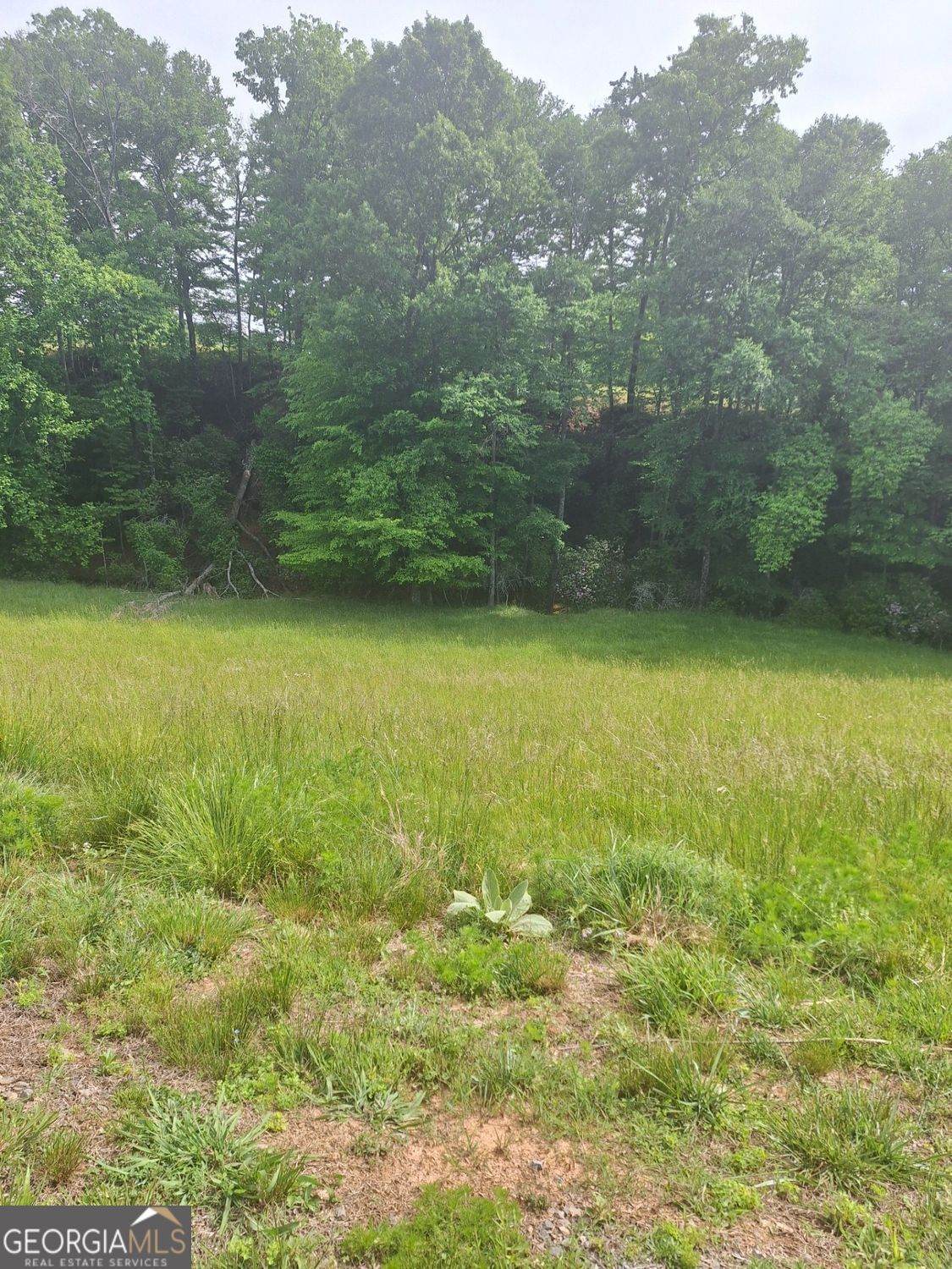 LOT 67 Hillside Court - Photo 1