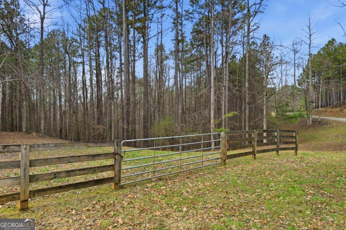 2025 Soap Creek Road - Photo 1
