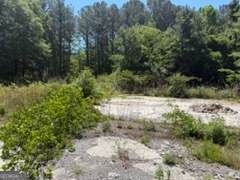 2137 Joy Lake Road - Photo 1