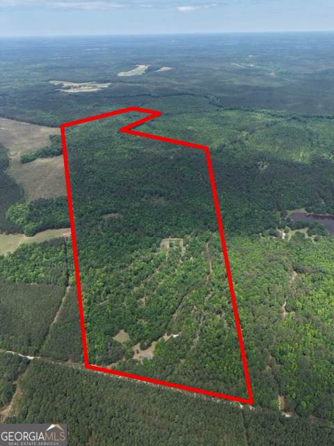 715 Fulsome Creek Road - Photo 1
