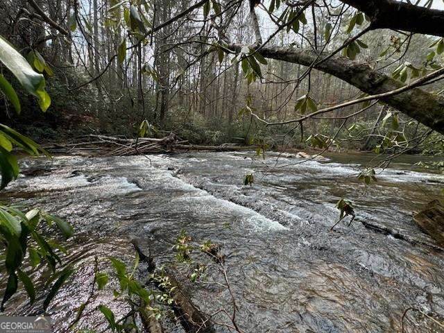 0 Horseshoe Bend Road - Photo 1