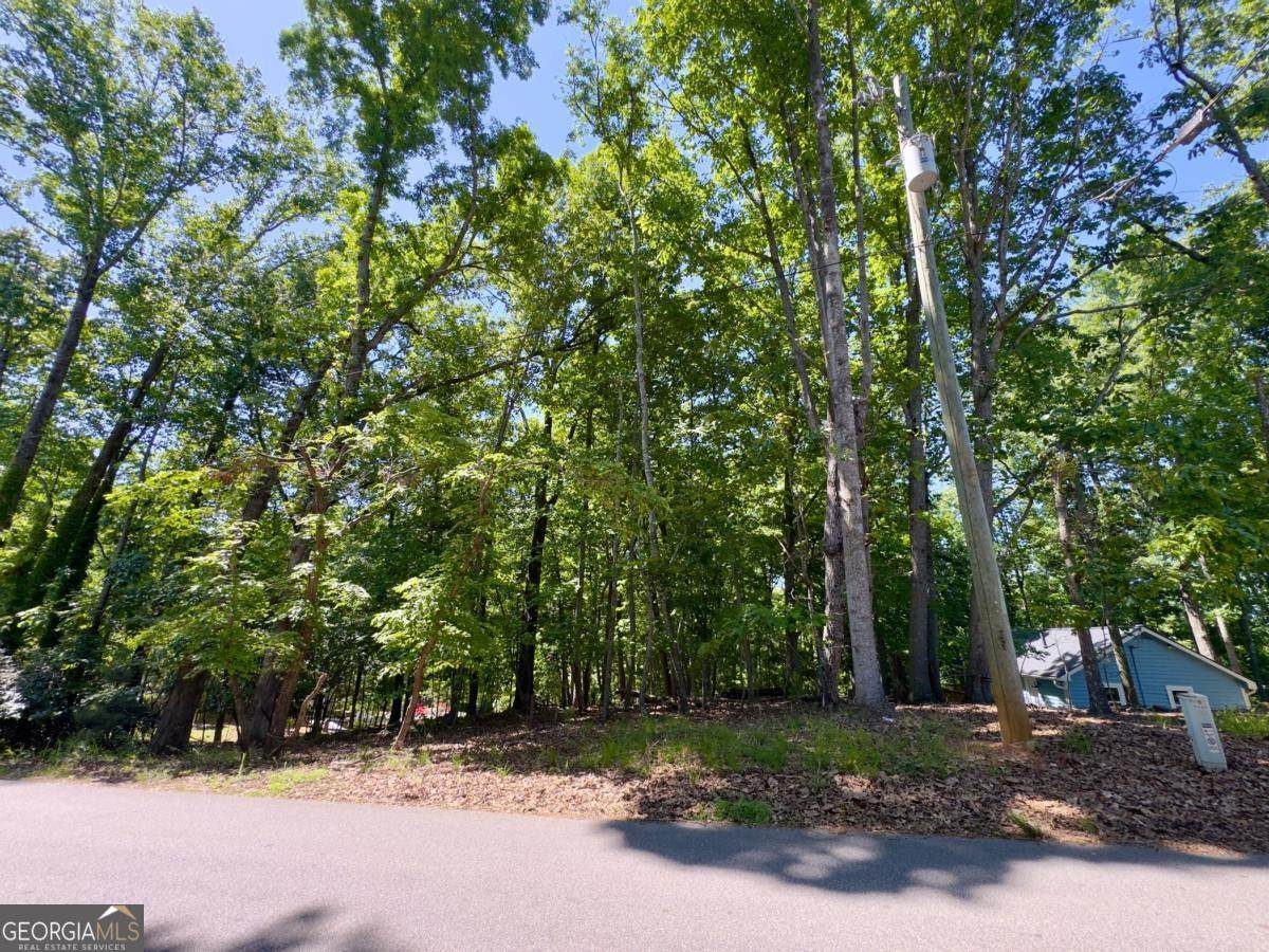 0 Bermuda Lane - Photo 1