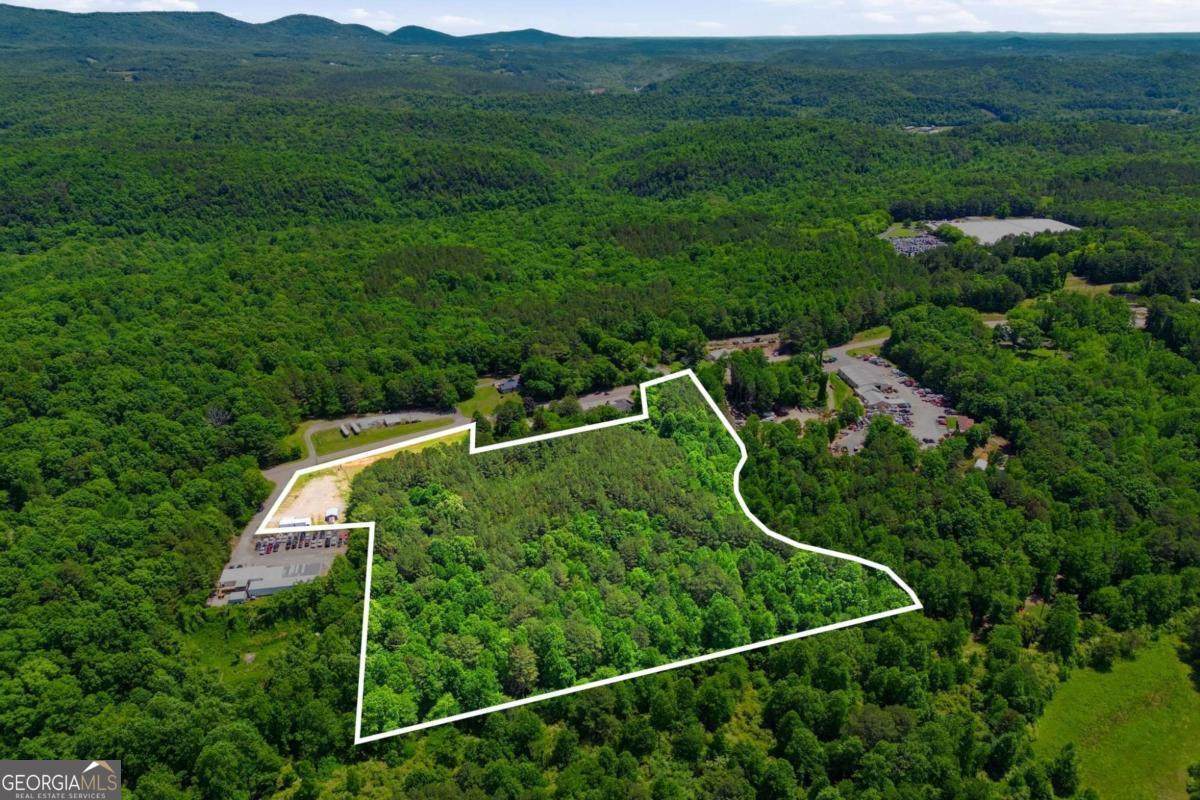 2900 Highway 53 - Photo 1