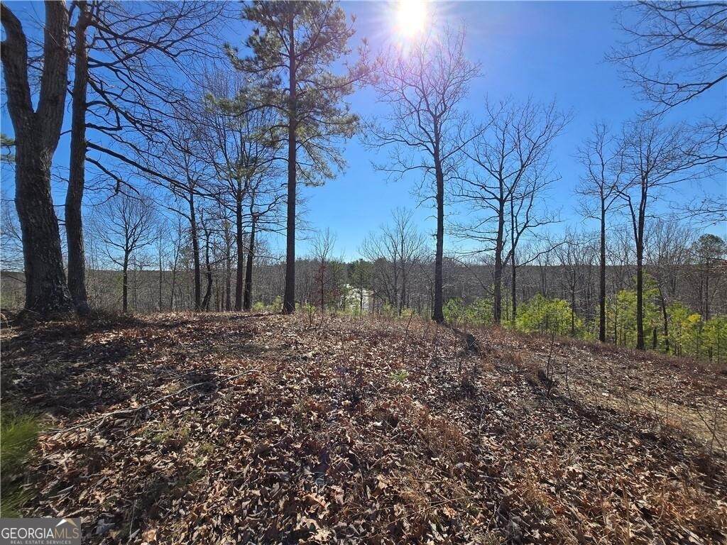 0 Brushy Mountain Road - Photo 1