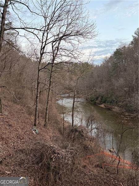 0 Shady Grove Church Road - Photo 1