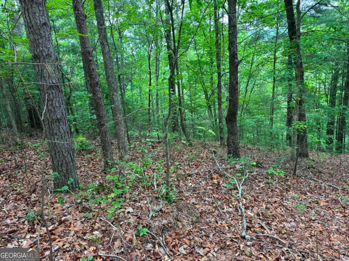 1674A Hunter Drive - Photo 1