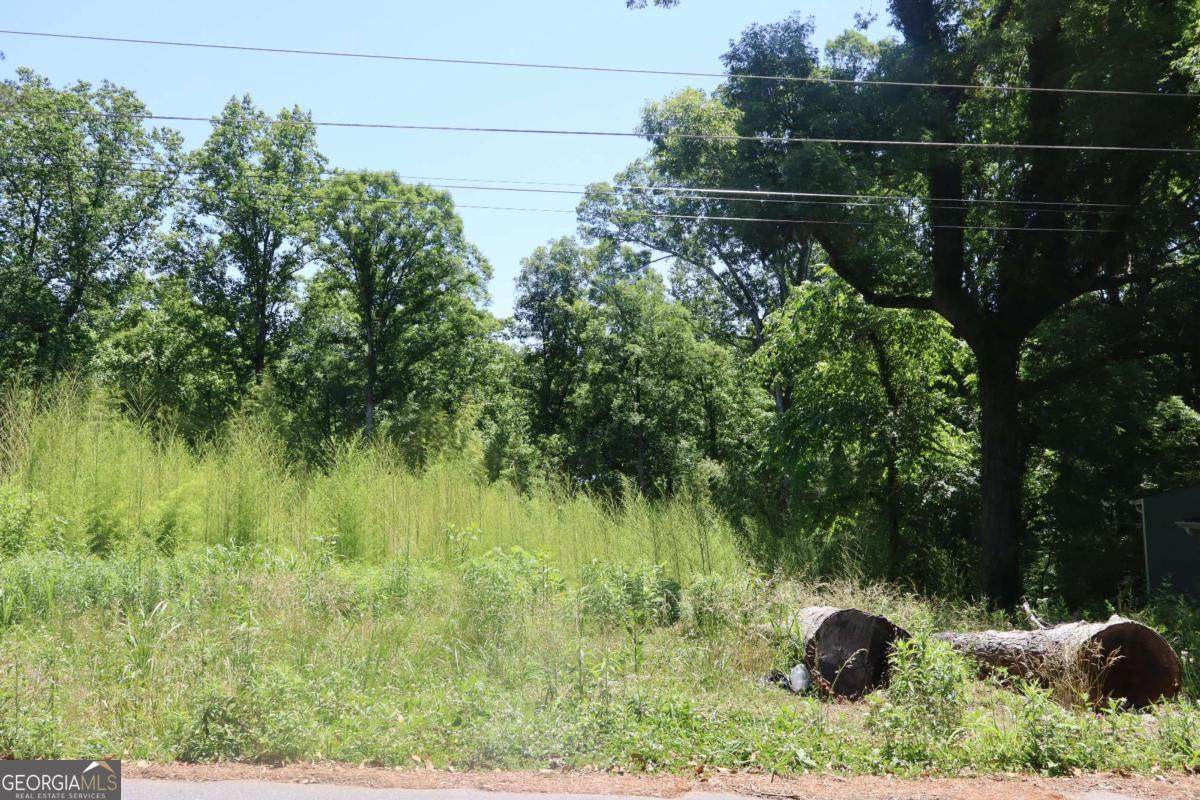 4820 Camp Highland Road - Photo 1