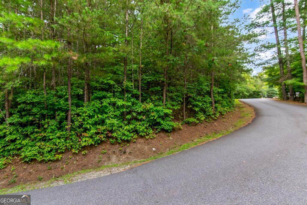 LOT 9 Laurel Creek Trail - Photo 1