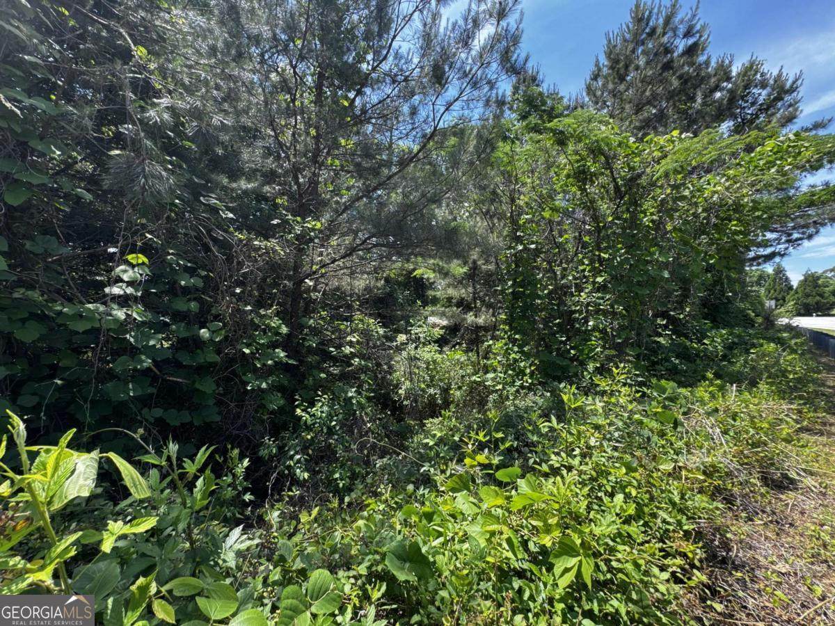 1465 Mineral Springs Road - Photo 1