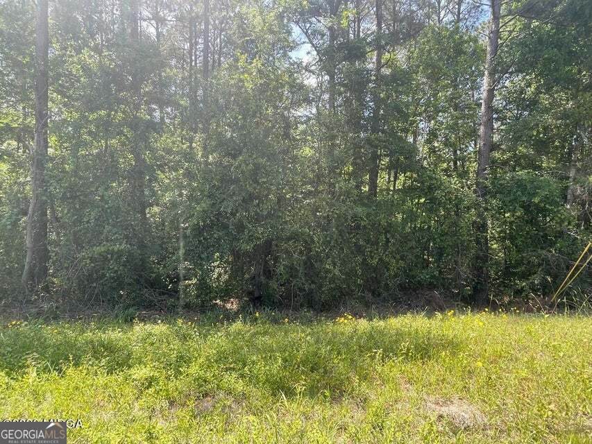 0 Gray Road - Photo 1