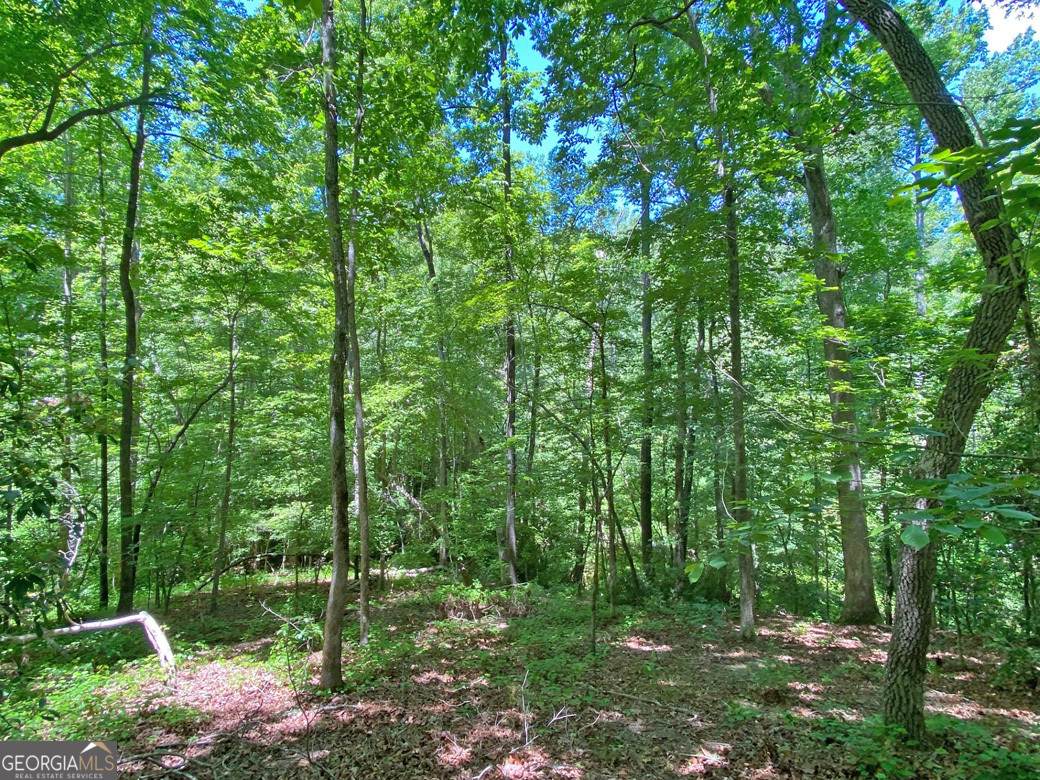 0 Hickory Nut Trail - Photo 1