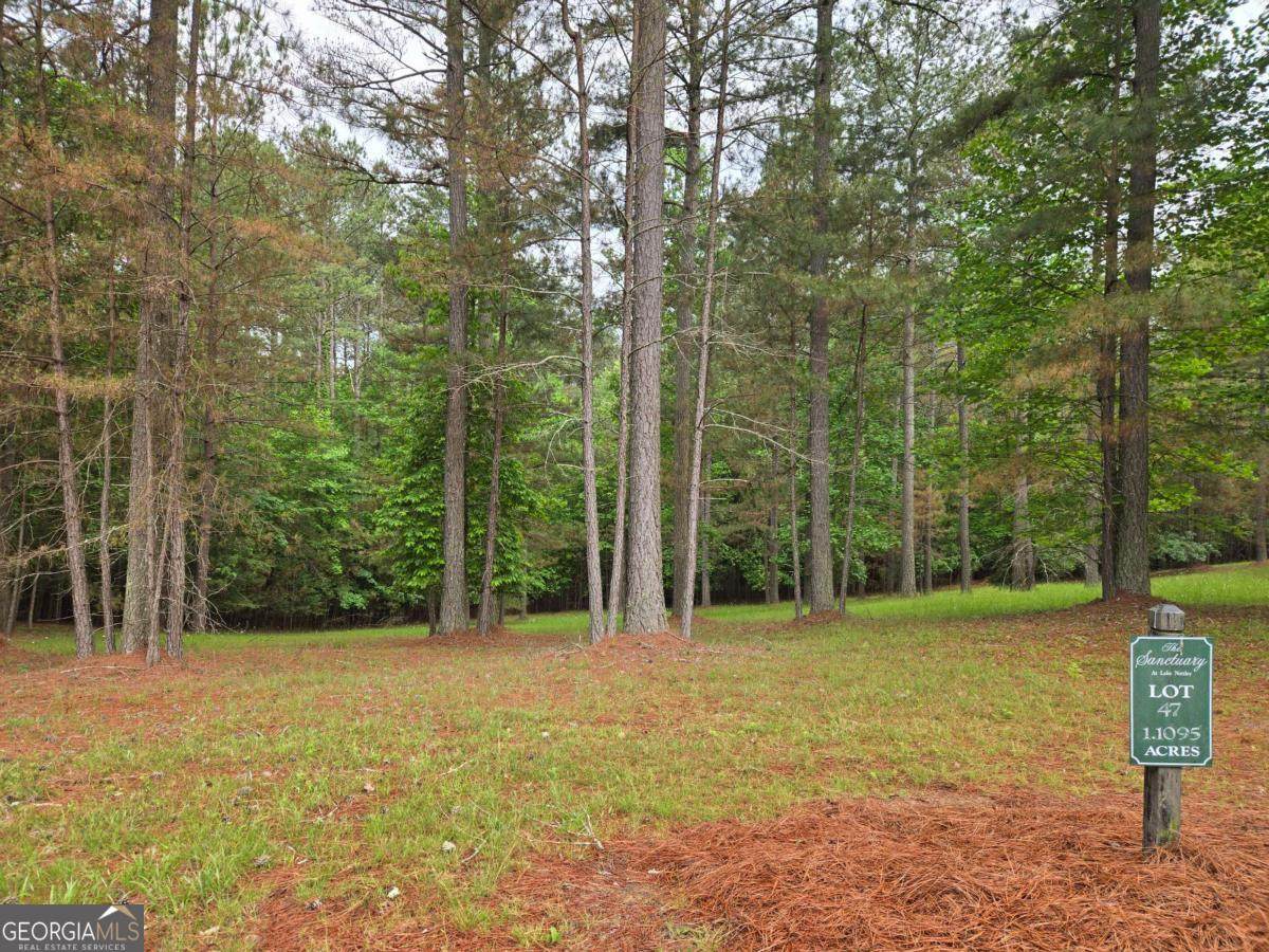 0 Sweetwater Lane - Photo 1