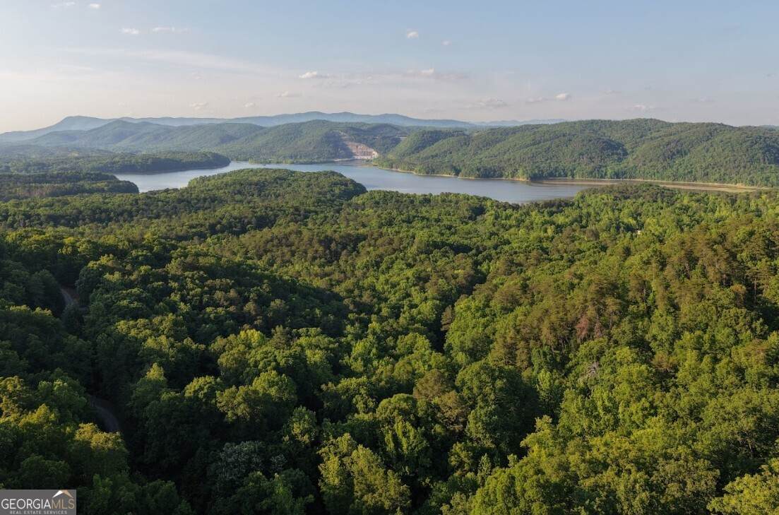 115 Carters Overlook - Photo 1