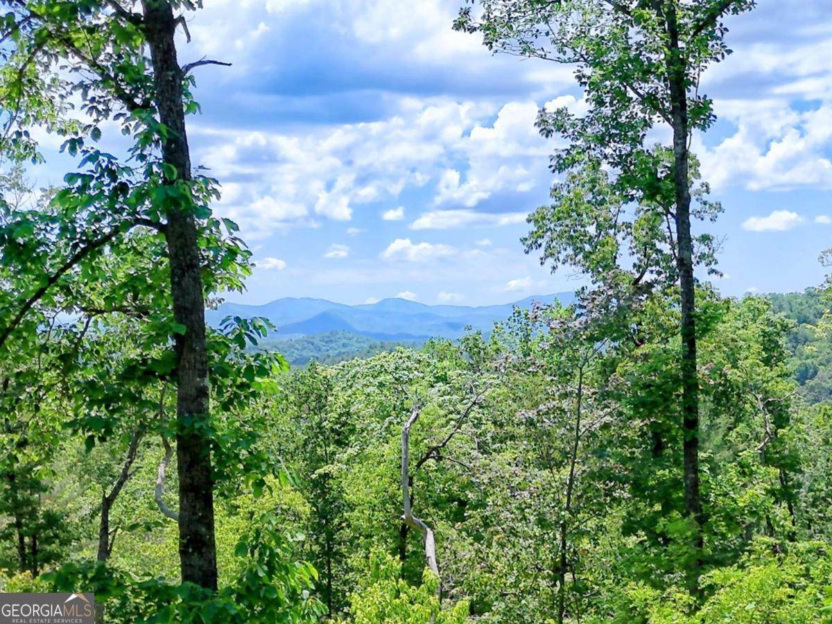 LOT 28 Bryson Creek - Photo 1