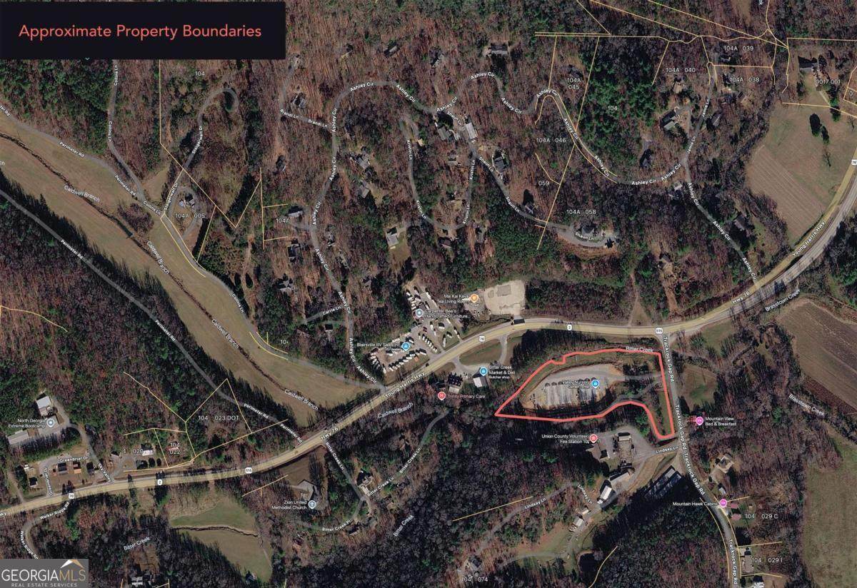 40 Trackrock Gap Road - Photo 1