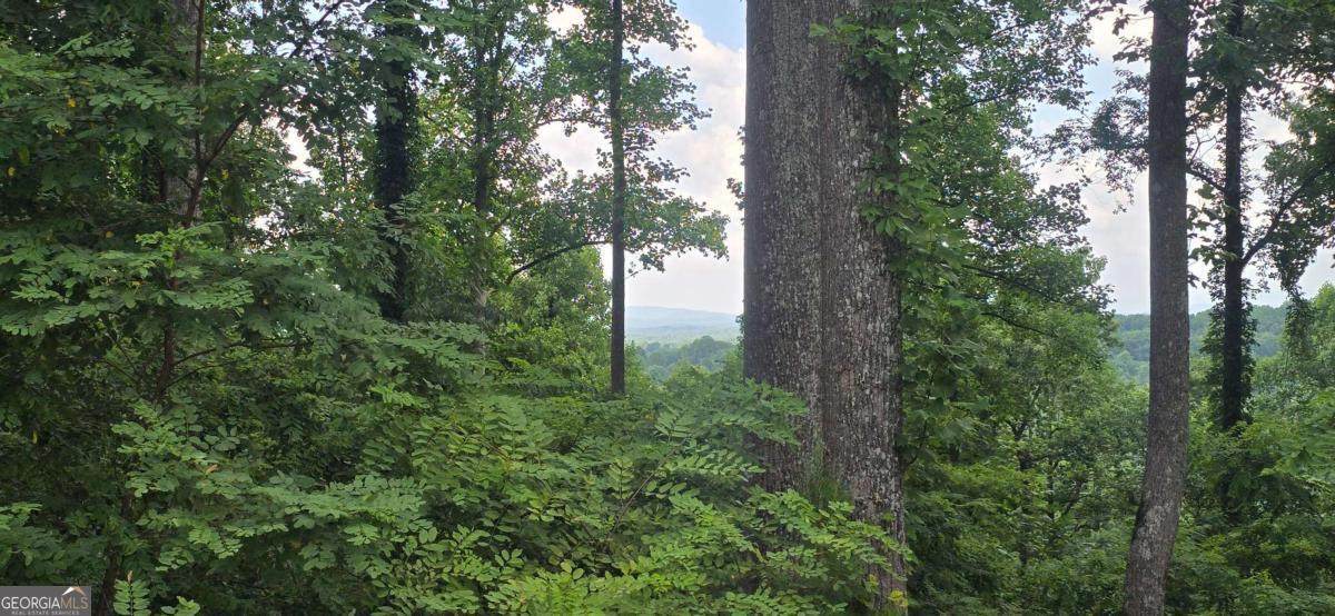 001 Windning Ridge - Photo 1