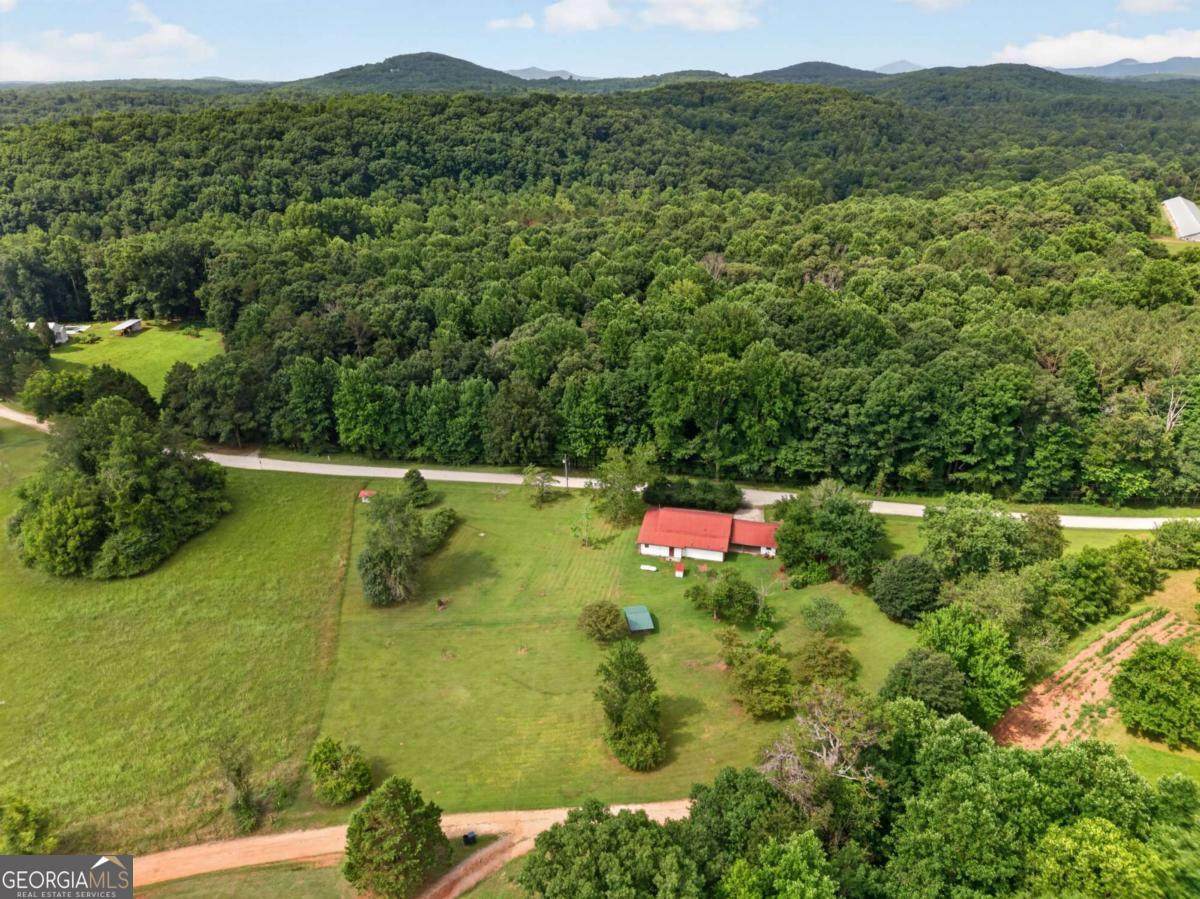 247 Amys Ford Trail - Photo 1