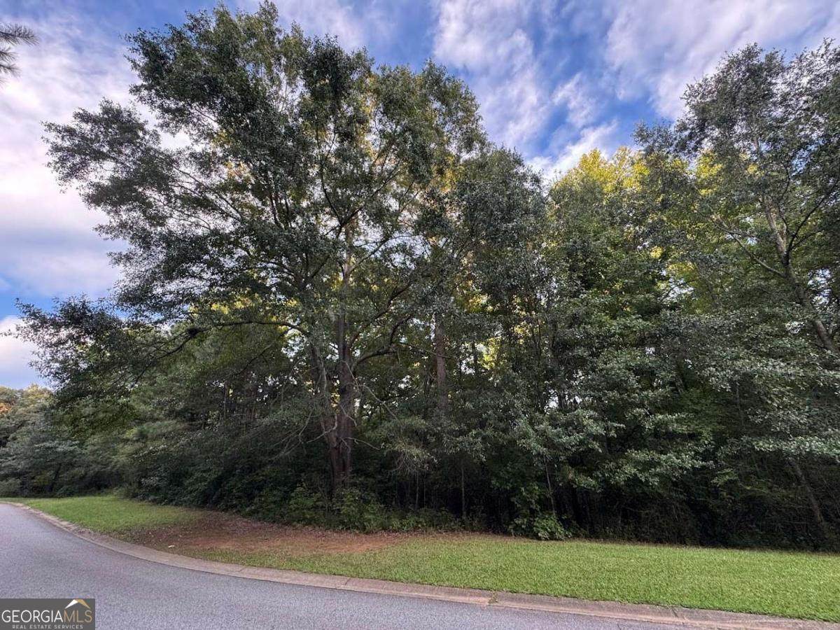 4820 Lexington Road - Photo 1
