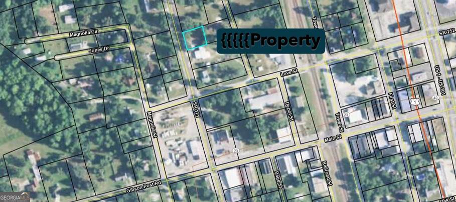 0 Okefenokee Drive - Photo 1