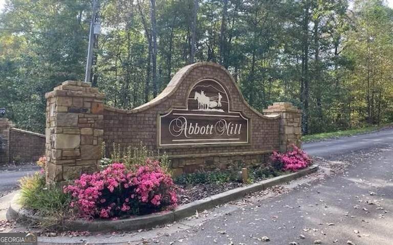 0 Abbott Mill Road - Photo 1