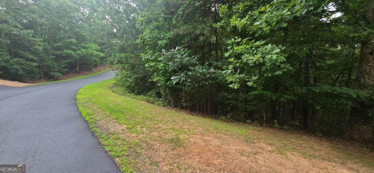 LOT 9 Harris Creek Drive - Photo 1