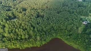 LOT B Brush Creek Road - Photo 1
