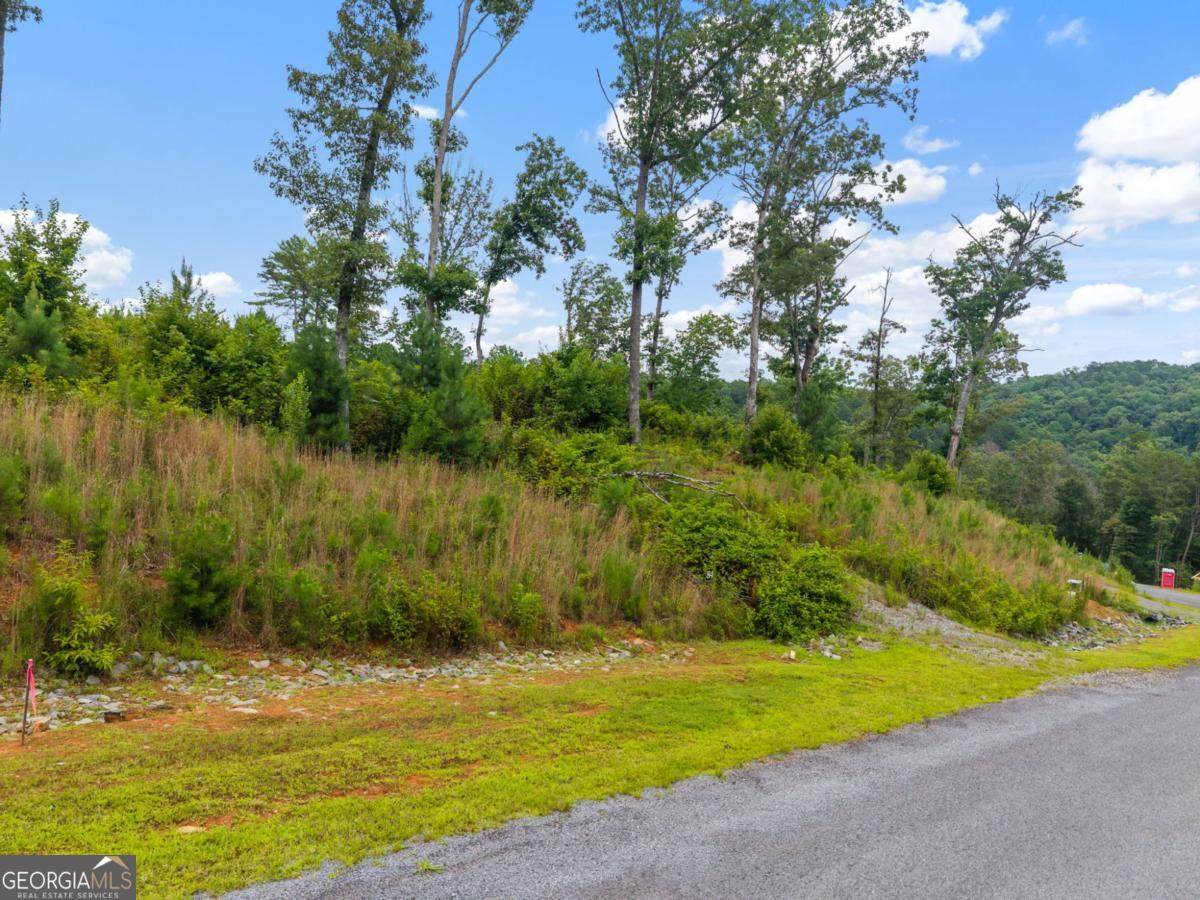 LOT 84 Jakes Landing Way - Photo 1