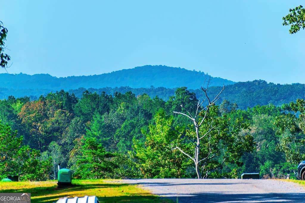 LOT 50 Jakes Landing Way - Photo 1