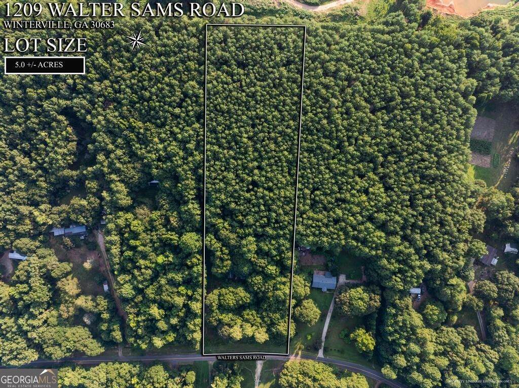 1209 Walter Sams Road - Photo 1
