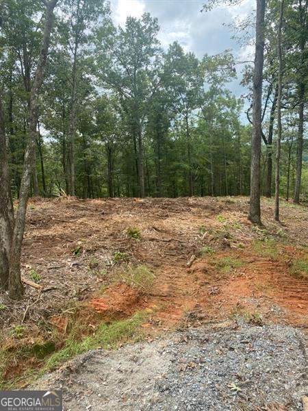 LOT 56 Ridge Line Trail - Photo 1