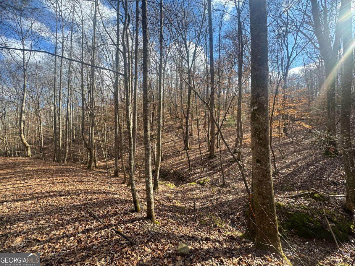 LOT 2750 Nimrod Court - Photo 1