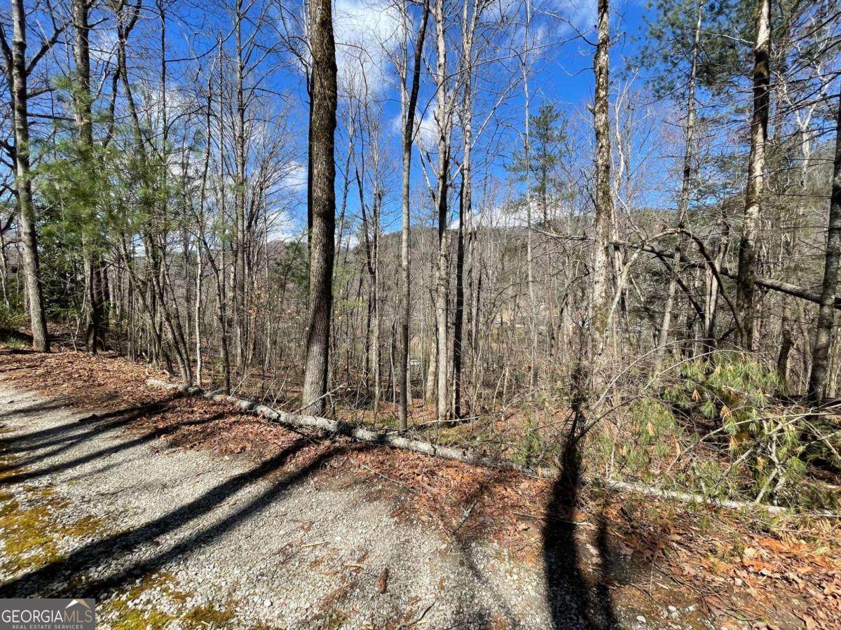 0 Bridge Creek Road - Photo 1