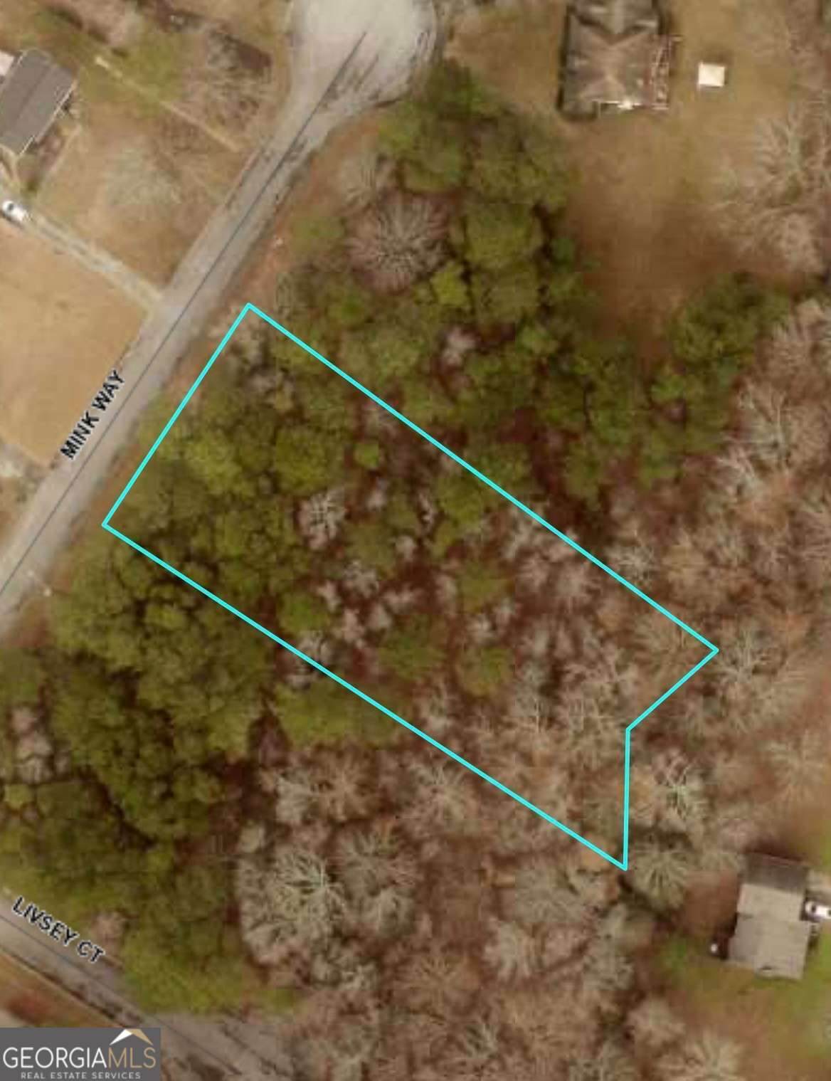 3032 Mink Way - Photo 1