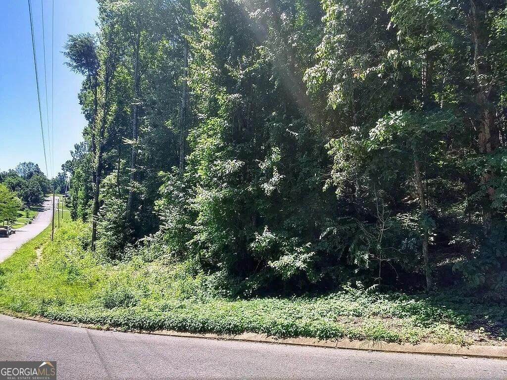225 Hickory Ridge Trail - Photo 1
