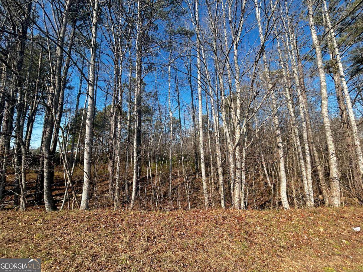 2013 Lake Paradise Road - Photo 1