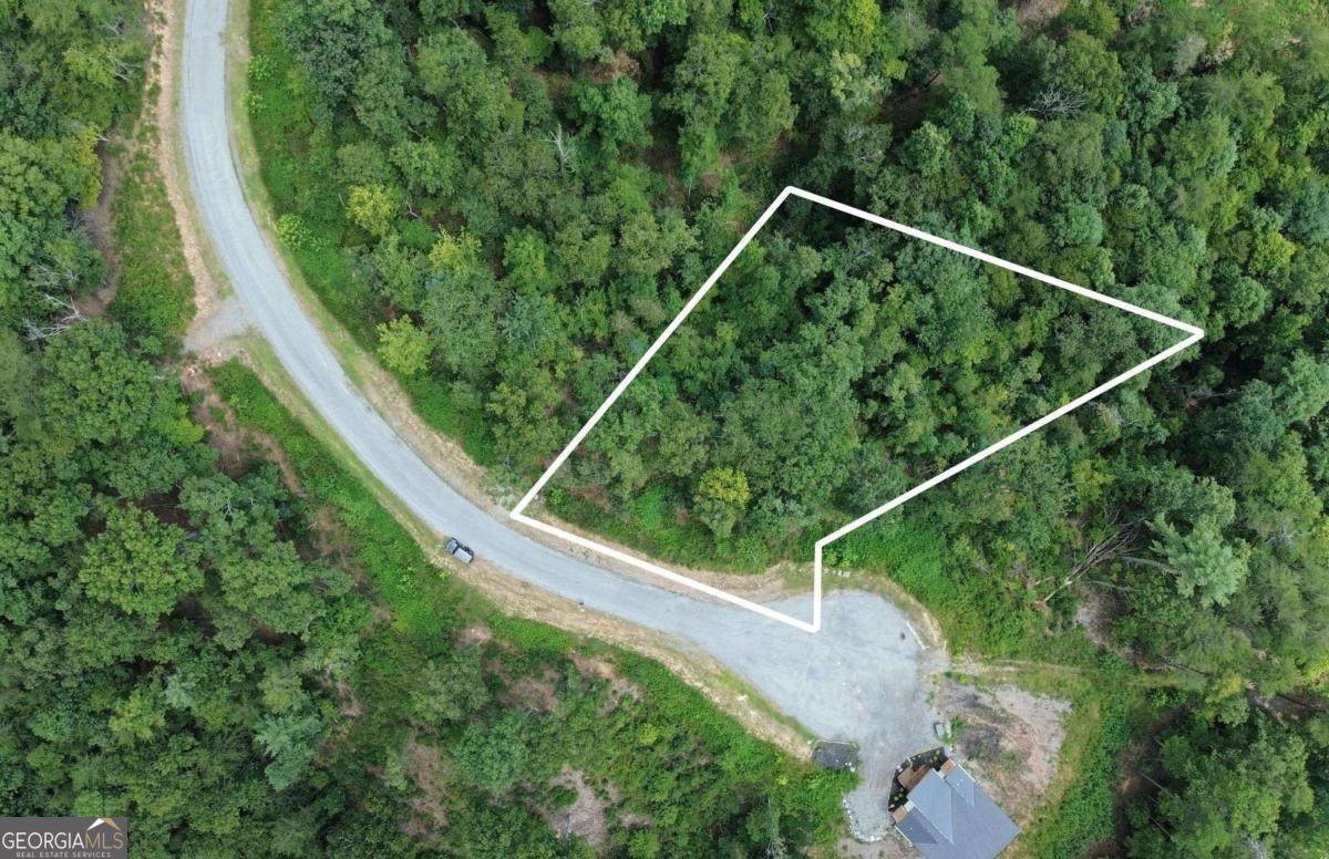 LOT 49 Mountain Laurel Ridge - Photo 1