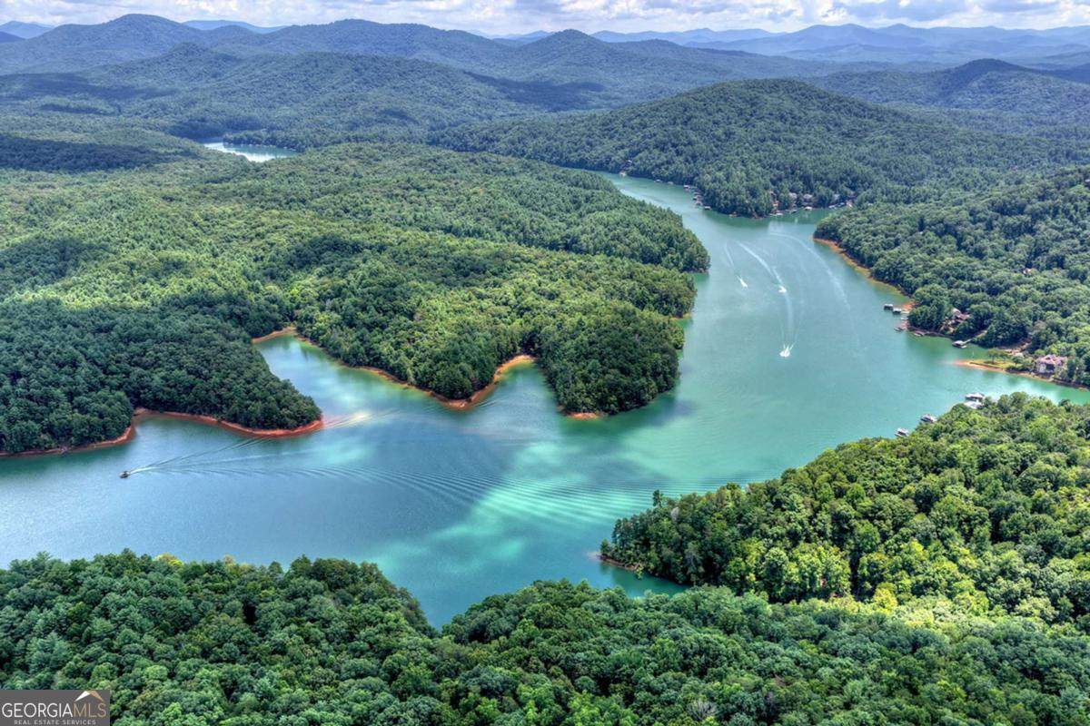 LT 60 Necowa Cove Overlook - Photo 1
