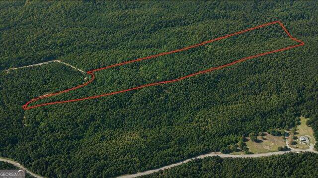 0 Holly Creek Cool Spr Road - Photo 1